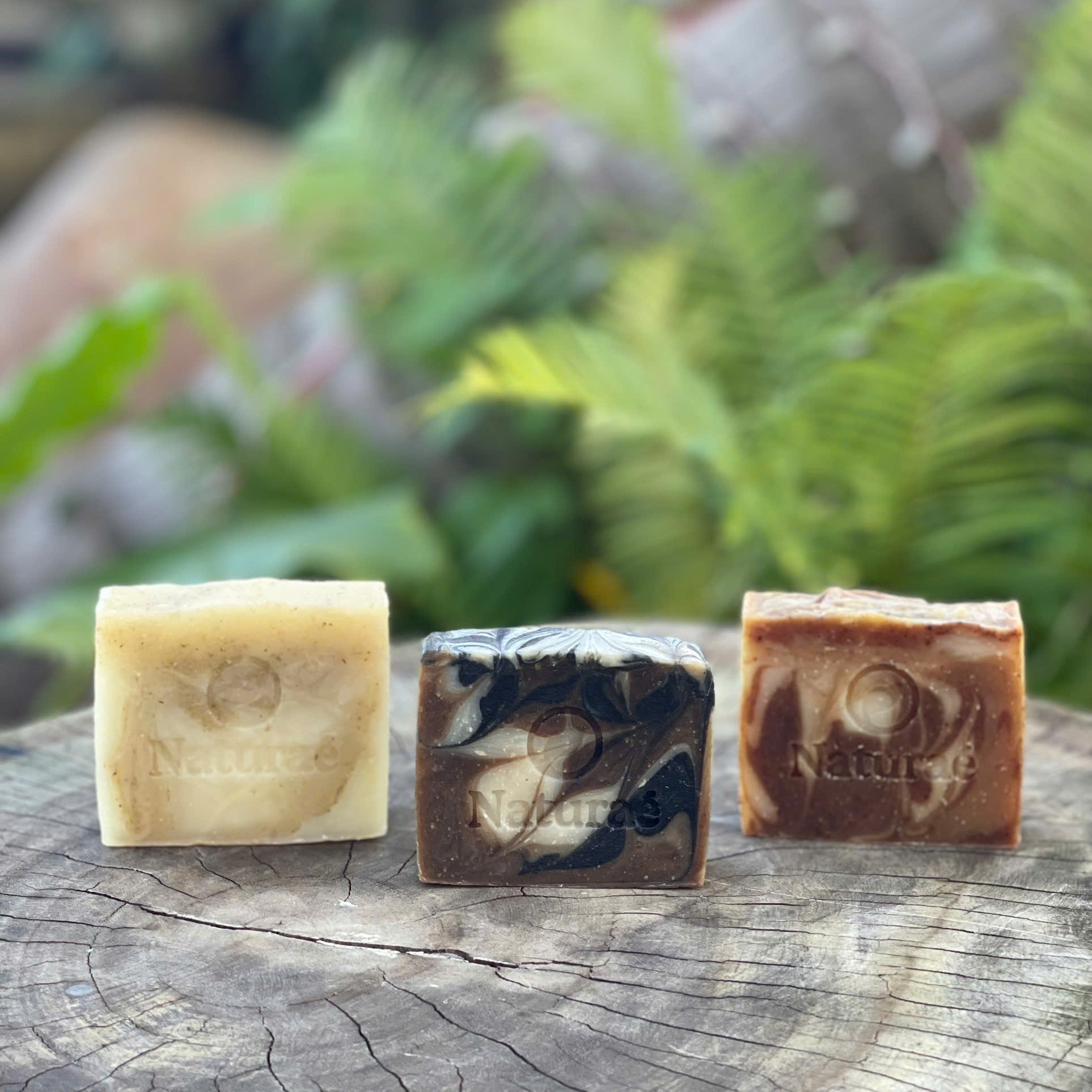 combo xa phong sach sang min kho qua nghe yen mach naturae home store 5